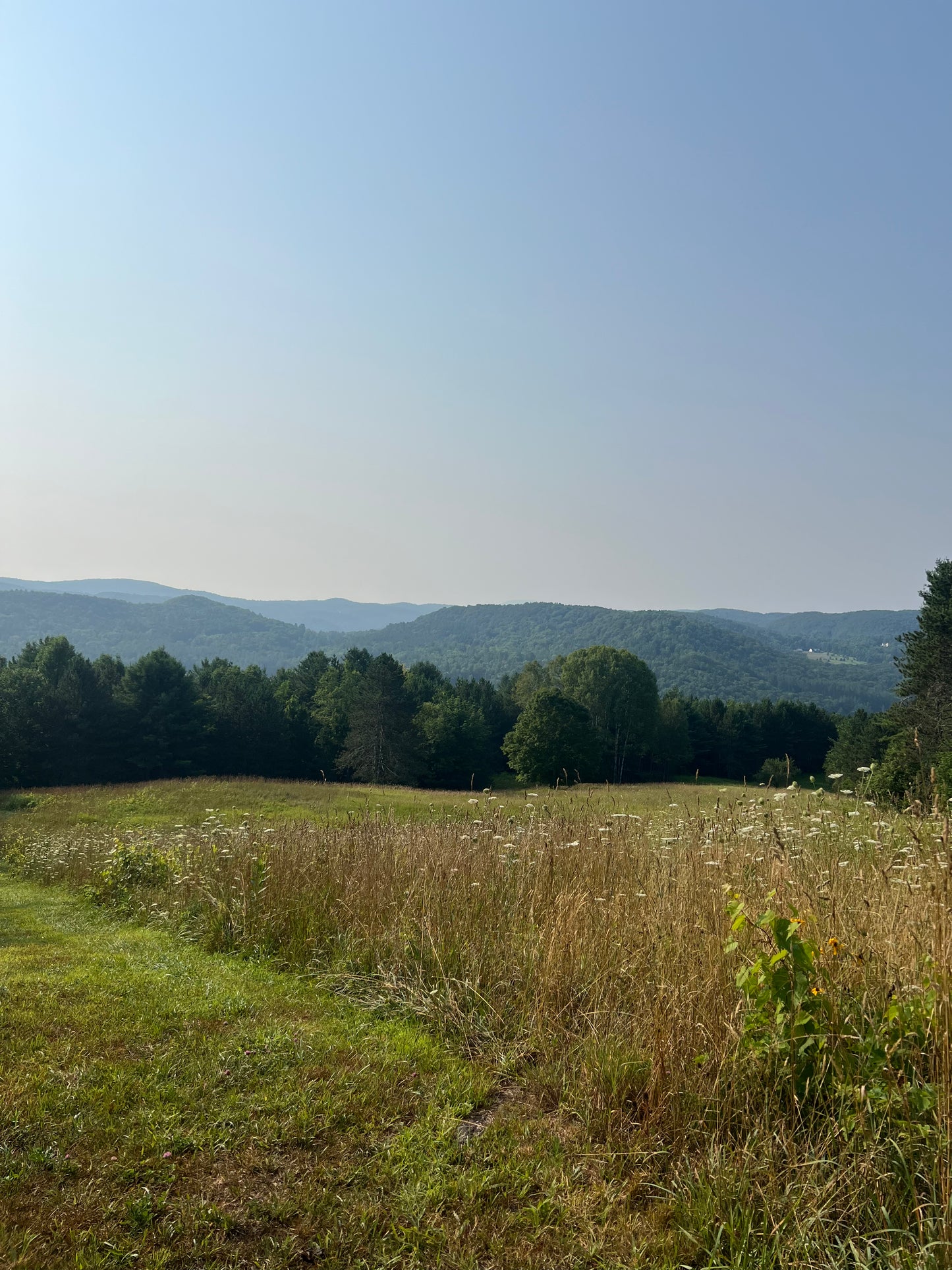 High Summer in Vermont Retreat