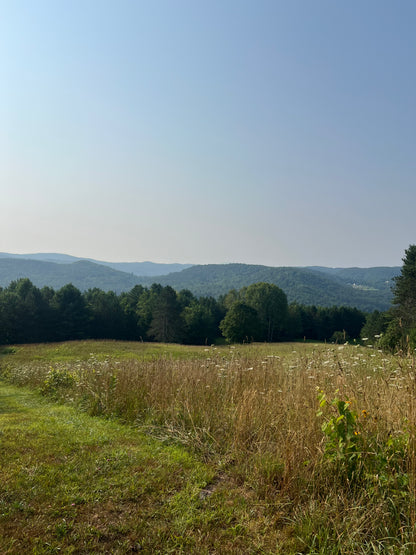 High Summer in Vermont Retreat